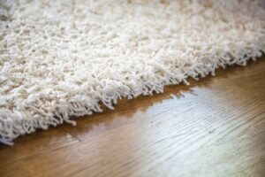 Carpet Restoration